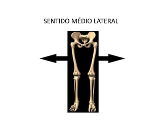 SENTIDO MÉDIO LATERAL
 