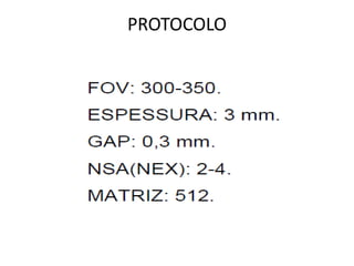 PROTOCOLO
 