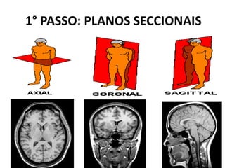 1° PASSO: PLANOS SECCIONAIS
 