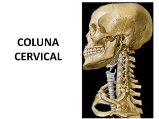 COLUNA
CERVICAL
 
