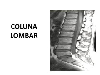 COLUNA
LOMBAR
 