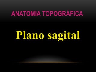 ANATOMIA TOPOGRÁFICA
Plano sagital
 
