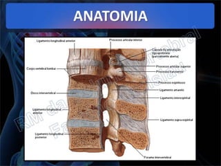 RM da Coluna Vertebral