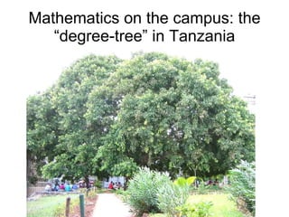 Mathematics on the campus: the “degree-tree” in Tanzania 