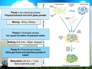 Phase I (Ion-leaching phase)Polyacid extracts ions from glass powderMixing - Shiny, GlossyPhase II (Hydrogel phase)Ion cause formation of polyacid matrixSetting (3-6 min) - Rigid, OpaquePhase III (Polysalt gel phase)Silica gel forms and attaches powder to matrixMaturation (24 hrs – 1 yrs) More tooth-like color