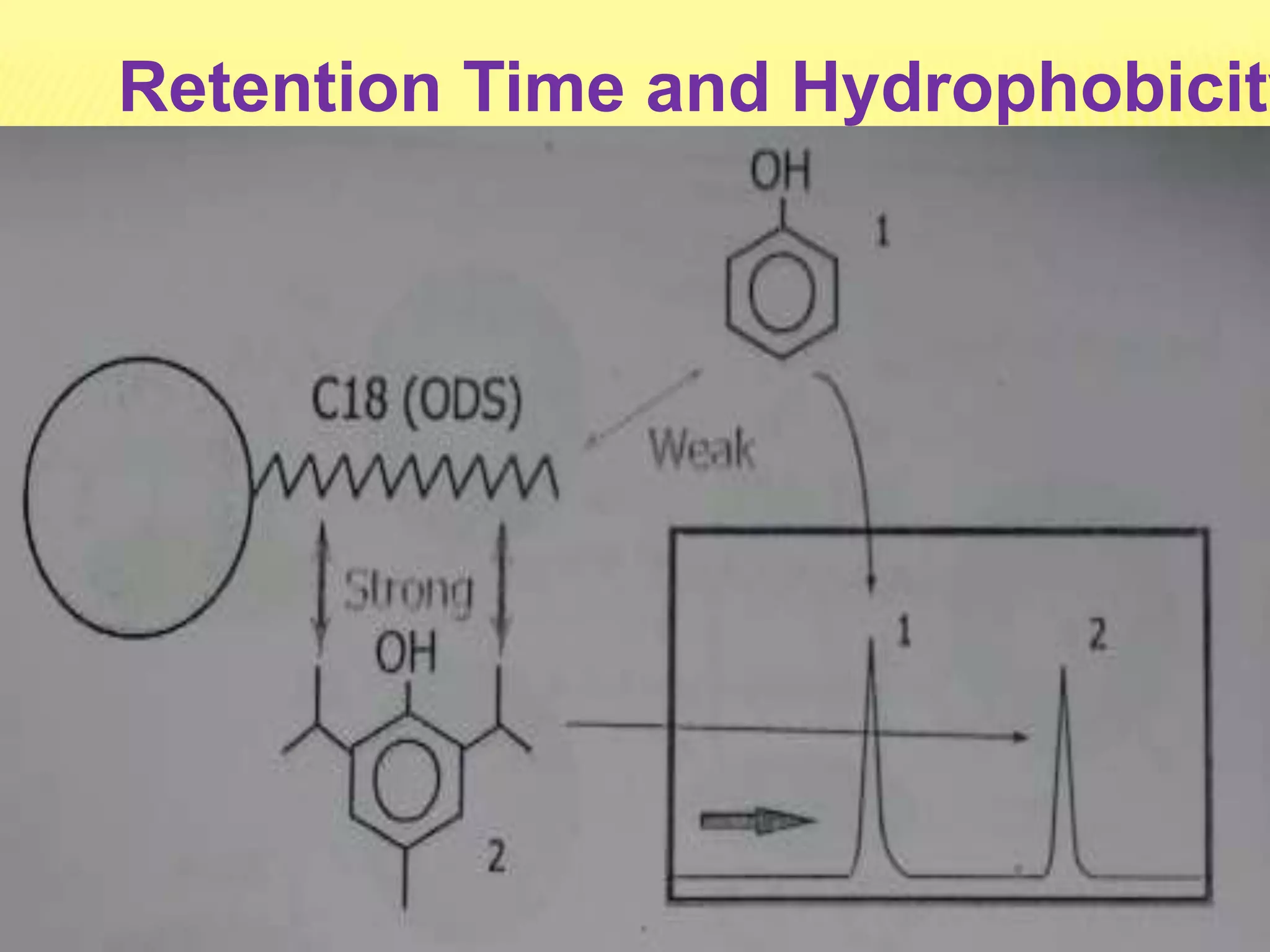 Retention Time and Hydrophobicity
 