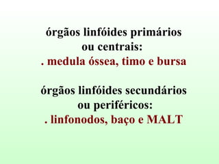 órgãos linfóides primários ou centrais:  . medula óssea, timo e bursa órgãos linfóides secundários ou periféricos: . linfonodos, baço e MALT 