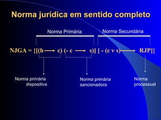 NJGA = {[(h  c) (- c  s)] [ - (c v s)  RJP]} Norma Primária Norma primária  dispositiva Norma primária  sancionadora Norma Secundária Norma jurídica em sentido completo Norma processual 