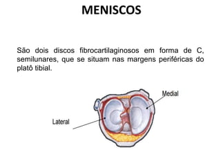 MENISCOS
São dois discos fibrocartilaginosos em forma de C,
semilunares, que se situam nas margens periféricas do
platô tibial.
 