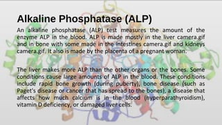 Alkaline Phosphatase (ALP)
An alkaline phosphatase (ALP) test measures the amount of the
enzyme ALP in the blood. ALP is made mostly in the liver camera.gif
and in bone with some made in the intestines camera.gif and kidneys
camera.gif. It also is made by the placenta of a pregnant woman.
The liver makes more ALP than the other organs or the bones. Some
conditions cause large amounts of ALP in the blood. These conditions
include rapid bone growth (during puberty), bone disease (such as
Paget's disease or cancer that has spread to the bones), a disease that
affects how much calcium is in the blood (hyperparathyroidism),
vitamin D deficiency, or damaged liver cells.
 