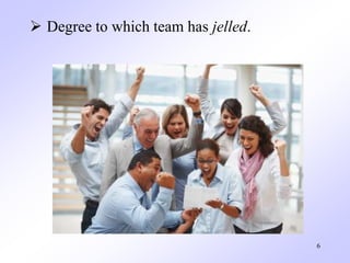  Degree to which team has jelled.
6
 