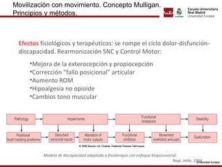 Movilización con movimiento. Concepto Mulligan.
Principios y métodos.
Efectos fisiológicos y terapéuticos: se rompe el ciclo dolor-disfunción-discapacidad.
Rearmonización SNC y Control Motor:
•Mejora de la exterocepción y propiocepción
•Corrección “fallo posicional” articular
•Aumento ROM
•Hipoalgesia no opioide
•Cambios tono muscular
Modelo de discapacidad adaptado a fisioterapia con enfoque biopsicosocial.
Nagi, Jette, 1994