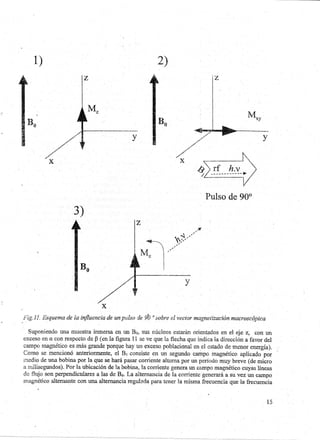 Guia de Seminario: RMN