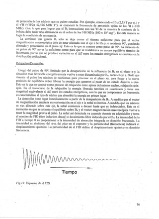 Guia de Seminario: RMN