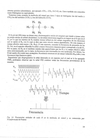 Guia de Seminario: RMN