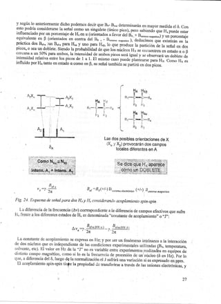 Guia de Seminario: RMN