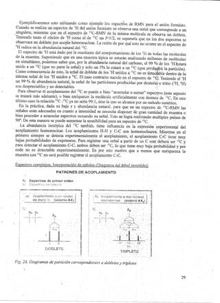 Guia de Seminario: RMN