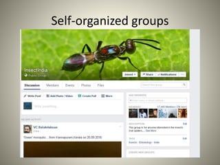 Self-organized groups
 