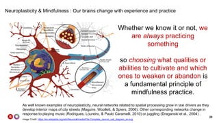 20
Neuroplasticity & Mindfulness : Our brains change with experience and practice
As well known examples of neuroplasticity, neural networks related to spatial processing grow in taxi drivers as they
develop interior maps of city streets (Maguire, Woollett, & Spiers, 2006). Other corresponding networks change in
response to playing music (Rodrigues, Loureiro, & Paulo Caramelli, 2010) or juggling (Draganski et al., 2004) .
Whether we know it or not, we
are always practicing
something
so choosing what qualities or
abilities to cultivate and which
ones to weaken or abandon is
a fundamental principle of
mindfulness practice.
Image Credit: https://en.wikipedia.org/wiki/Neuron#/media/File:Complete_neuron_cell_diagram_en.svg
 
