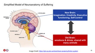 21
Simplified Model of Neuroanatomy of Suffering
Image Credit: https://qbi.uq.edu.au/brain/brain-anatomy/limbic-system
New Brain:
Imagination, Creativity, Executive
functioning, Self-control
Old Brain:
emotions & drives, shared with
many animals
 