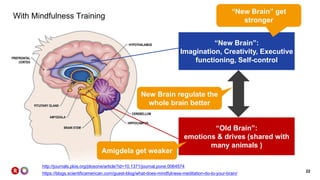 22
With Mindfulness Training
“New Brain”:
Imagination, Creativity, Executive
functioning, Self-control
“Old Brain”:
emotions & drives (shared with
many animals )
Amigdela get weaker
New Brain regulate the
whole brain better
“New Brain” get
stronger
https://blogs.scientificamerican.com/guest-blog/what-does-mindfulness-meditation-do-to-your-brain/
http://journals.plos.org/plosone/article?id=10.1371/journal.pone.0064574
 