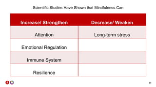 23
Scientific Studies Have Shown that Mindfulness Can
Increase/ Strengthen Decrease/ Weaken
Attention Long-term stress
Emotional Regulation
Immune System
Resilience
 