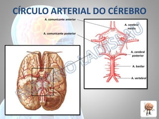 CÍRCULO ARTERIAL DO CÉREBRO
A. comunicante anterior
A. cerebral
média
A. comunicante posterior

A. cerebral
posterior
A. basilar

A. vertebral

 