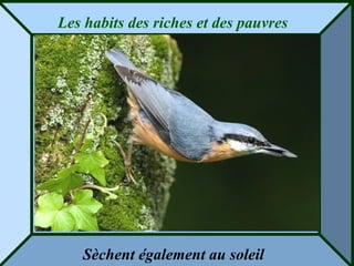 Les habits des riches et des pauvres




   Sèchent également au soleil
 