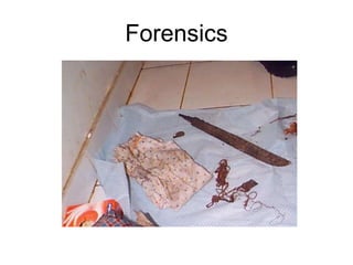 Forensics
 