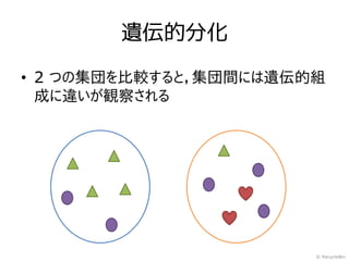 遺伝的分化

• 2 つの集団を比較すると，集団間には遺伝的組
  成に違いが観察される




                       © RecycleBin
 