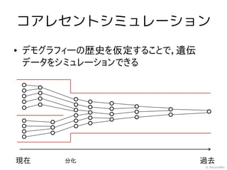 コアレセントシミュレーション

• デモグラフィーの歴史を仮定することで，遺伝
  データをシミュレーションできる




現在    分化                  過去
                          © RecycleBin
 