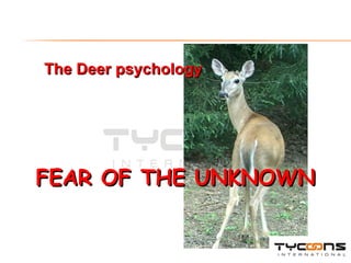FEAR OF THE UNKNOWN The Deer psychology 