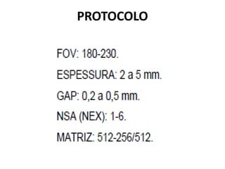 PROTOCOLO
 