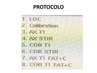 PROTOCOLO
 