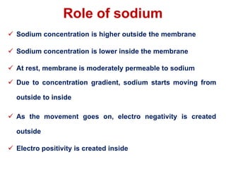 Role of sodium
 Sodium concentration is higher outside the membrane
 Sodium concentration is lower inside the membrane
 At rest, membrane is moderately permeable to sodium
 Due to concentration gradient, sodium starts moving from
outside to inside
 As the movement goes on, electro negativity is created
outside
 Electro positivity is created inside
 
