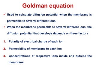 Goldman equation
 Used to calculate diffusion potential when the membrane is
permeable to several different ions
 When the membrane permeable to several different ions, the
diffusion potential that develops depends on three factors
1. Polarity of electrical charge of each ion
2. Permeability of membrane to each ion
3. Concentrations of respective ions inside and outside the
membrane
 