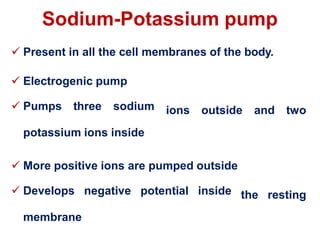 Sodium-Potassium pump
 Present in all the cell membranes of the body.
 Electrogenic pump
 Pumps three sodium
potassium ions inside
ions outside and two
 More positive ions are pumped outside
 Develops negative potential inside
membrane
the resting
 