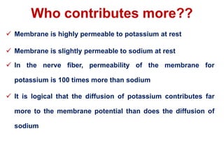 Who contributes more??
 Membrane is highly permeable to potassium at rest
 Membrane is slightly permeable to sodium at rest
 In the nerve fiber, permeability of the membrane for
potassium is 100 times more than sodium
 It is logical that the diffusion of potassium contributes far
more to the membrane potential than does the diffusion of
sodium
 