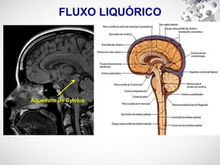 FLUXO LIQUÓRICO
Aqueduto de Sylvius
 