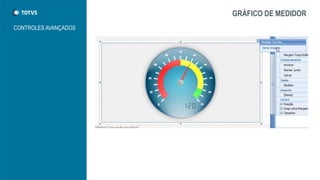 GRÁFICO DE MEDIDOR
CONTROLES AVANÇADOS
 