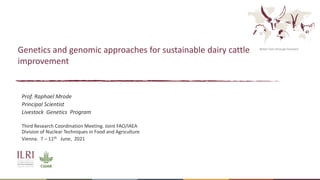 Better lives through livestock
Genetics and genomic approaches for sustainable dairy cattle
improvement
Prof. Raphael Mrode
Principal Scientist
Livestock Genetics Program
Third Research Coordination Meeting. Joint FAO/IAEA
Division of Nuclear Techniques in Food and Agriculture
Vienna. 7 – 11th June, 2021
 