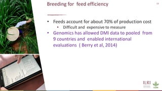 Genetics and genomic approaches for sustainable dairy cattle improvement