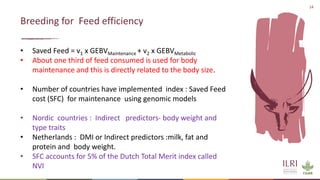 Genetics and genomic approaches for sustainable dairy cattle improvement