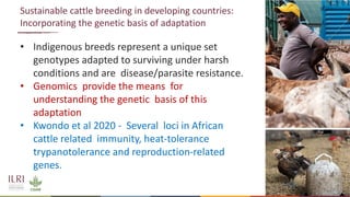 Genetics and genomic approaches for sustainable dairy cattle improvement