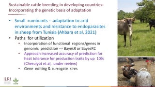Genetics and genomic approaches for sustainable dairy cattle improvement