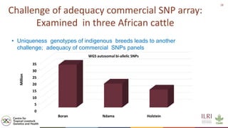 Genetics and genomic approaches for sustainable dairy cattle improvement