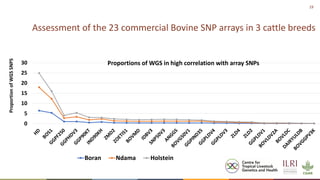 Genetics and genomic approaches for sustainable dairy cattle improvement