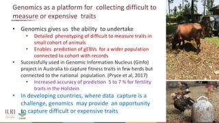 Genetics and genomic approaches for sustainable dairy cattle improvement