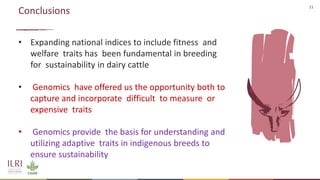 Genetics and genomic approaches for sustainable dairy cattle improvement