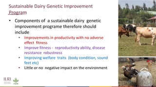 Genetics and genomic approaches for sustainable dairy cattle improvement